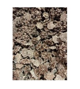 Milk Chocolate Stars - 9.6oz Bulk Candy